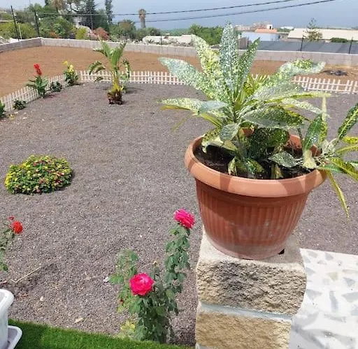 Mariposa Relax En Medio De La Naturaleza * 阿德耶